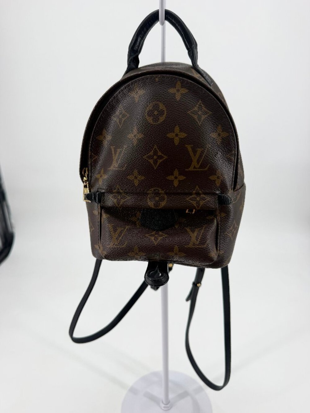 Louis Vuitton Monogram Palm Springs Mini Backpack Brown
